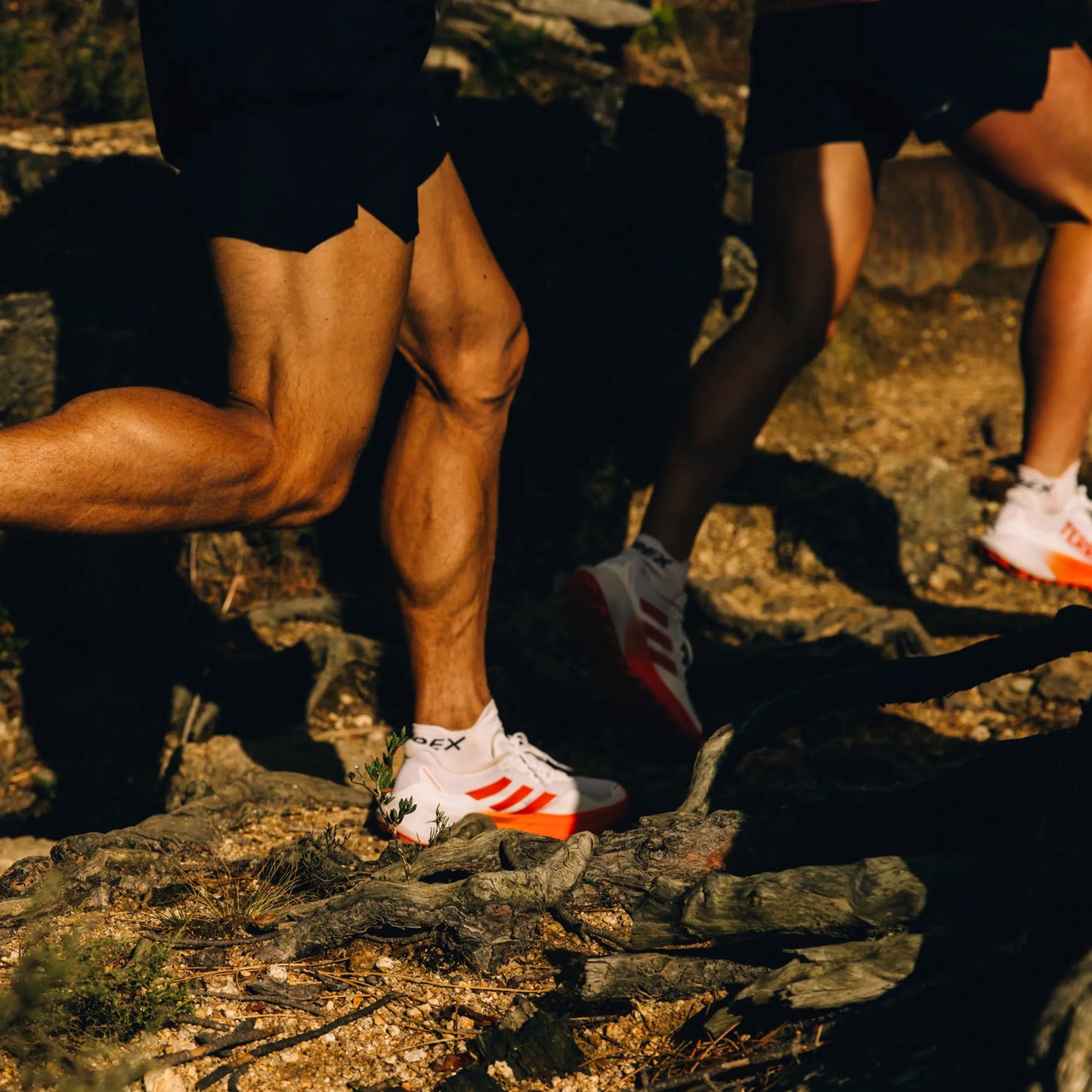 Adidas - Terrex Agravic 3 womens - Cloud White / Semi Impact Orange / Dash Grey - Chaussures trail running femmes