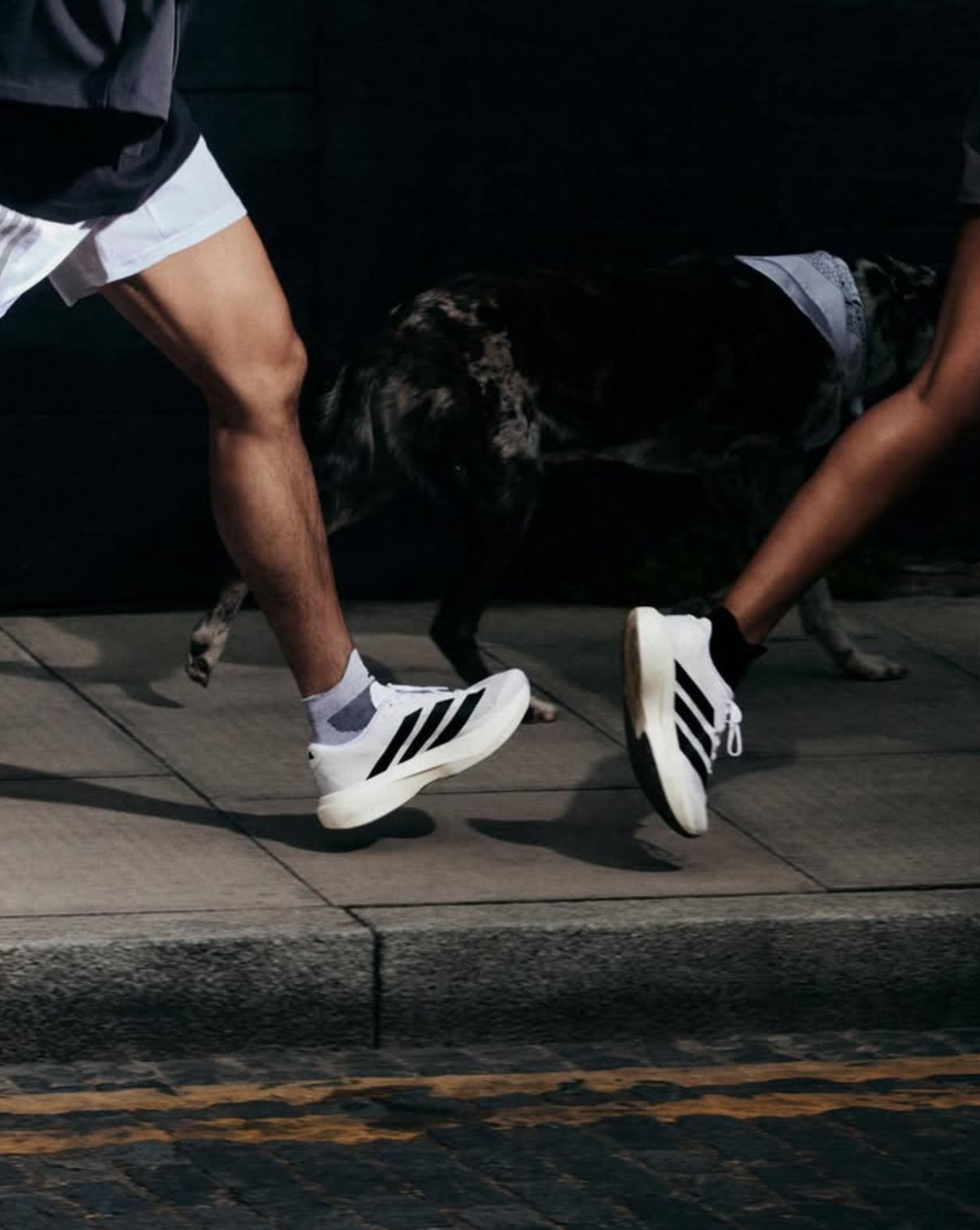 Adidas - Adizero Evo SL - Cloud White / Core Black / Cloud White - Chaussures running hommes