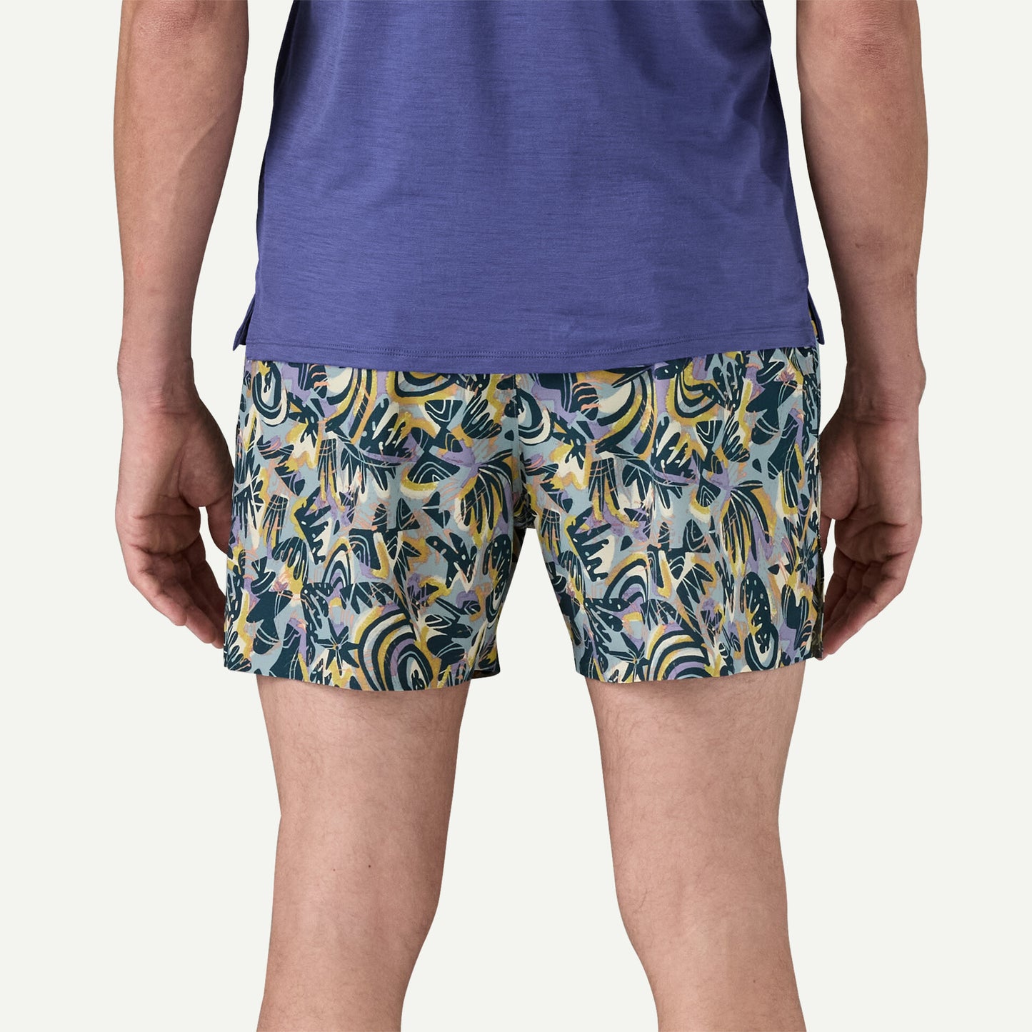 Patagonia - Strider Pro Shorts - 5" - wild Botanist / Thermal Blue - Short running hommes