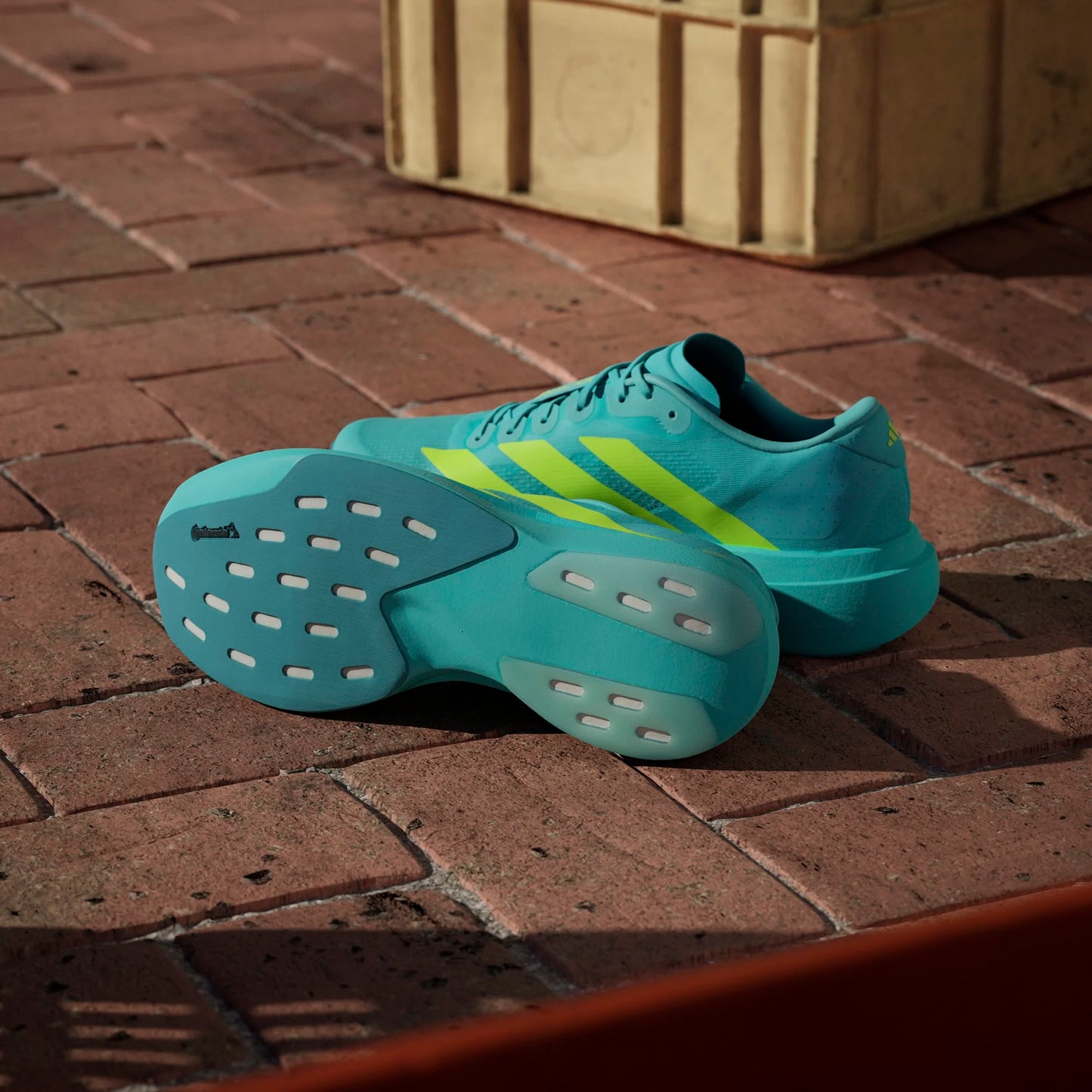 Adidas - Adizero Evo SL - flash aqua / lucid lemon / mint ton - Chaussures running hommes