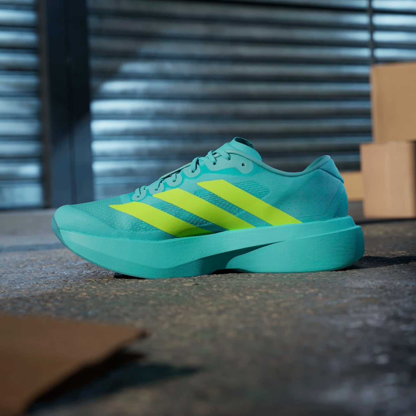 Adidas - Adizero Evo SL - flash aqua / lucid lemon / mint ton - Chaussures running hommes