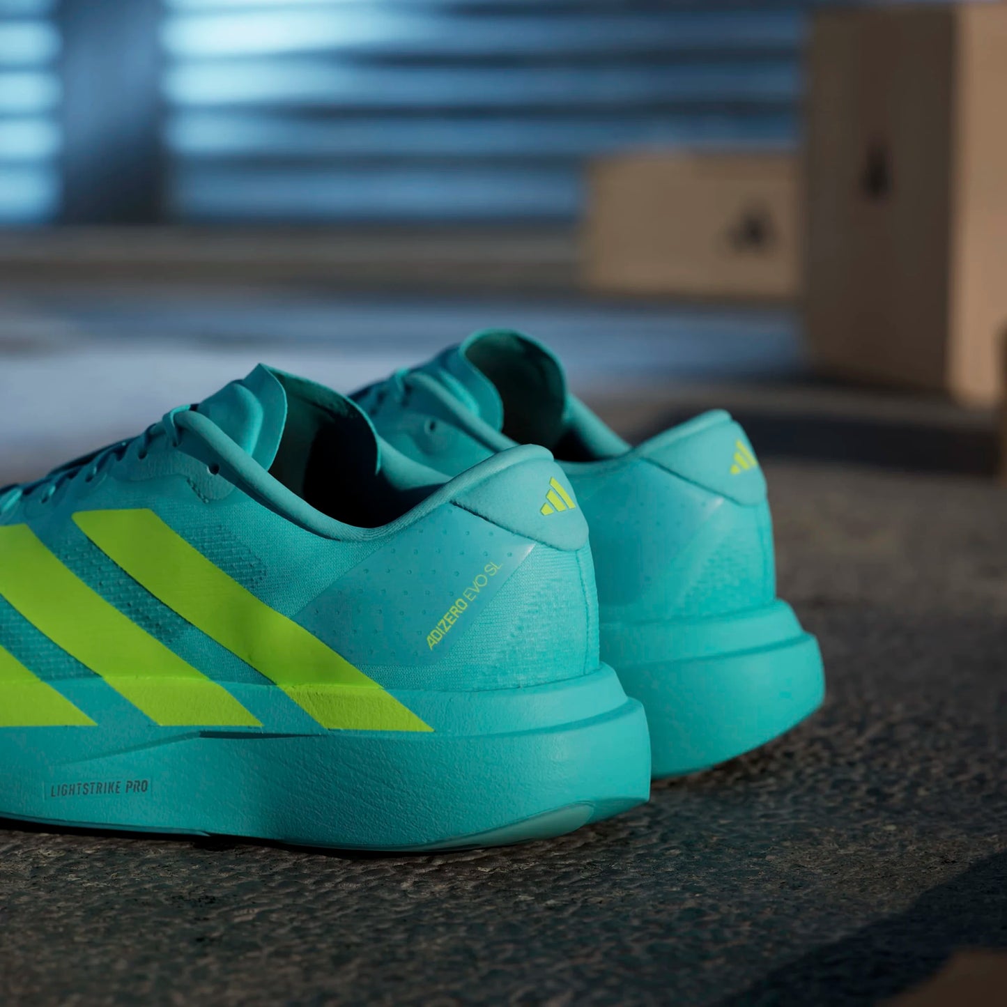 Adidas - Adizero Evo SL - flash aqua / lucid lemon / mint ton - Chaussures running hommes