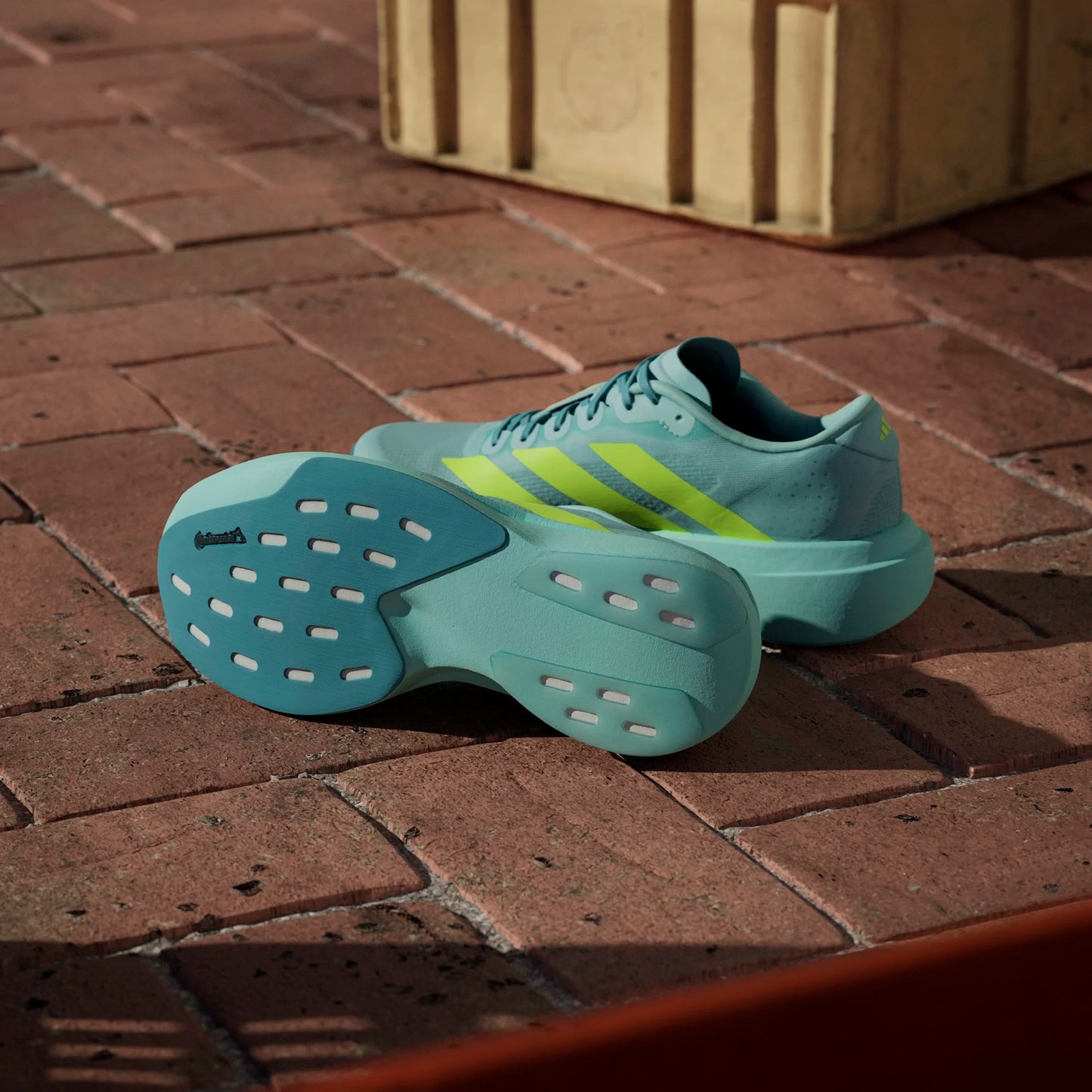Adidas - Adizero Evo SL - Semi Flash Aqua / Lucid Lemon / Mint Ton - Chaussures running femmes