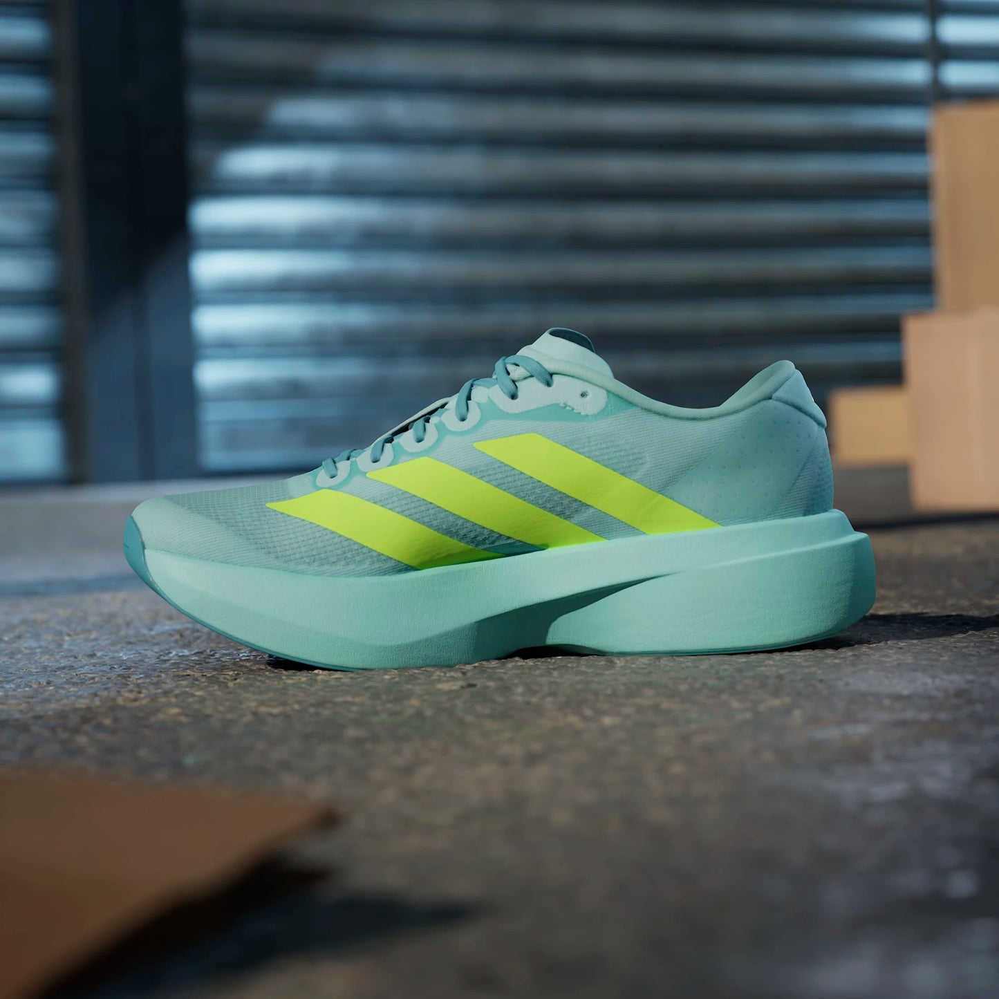 Adidas - Adizero Evo SL - Semi Flash Aqua / Lucid Lemon / Mint Ton - Chaussures running femmes