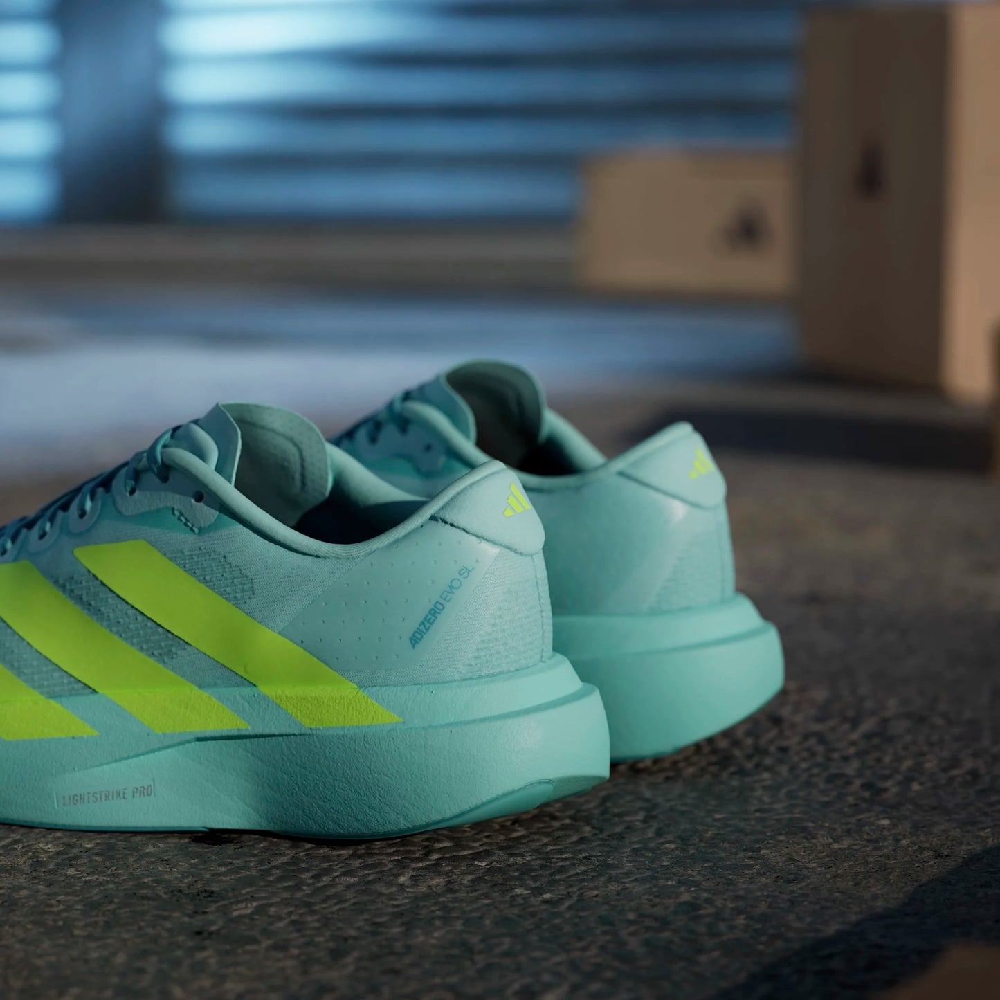 Adidas - Adizero Evo SL - Semi Flash Aqua / Lucid Lemon / Mint Ton - Chaussures running femmes