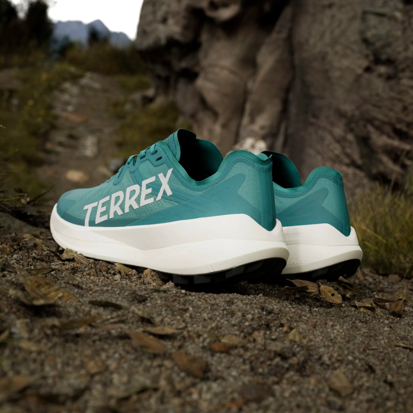 Adidas - Terrex Agravic Speed - Pure Teal / Grey One / Core Black - Chaussures trail running hommes