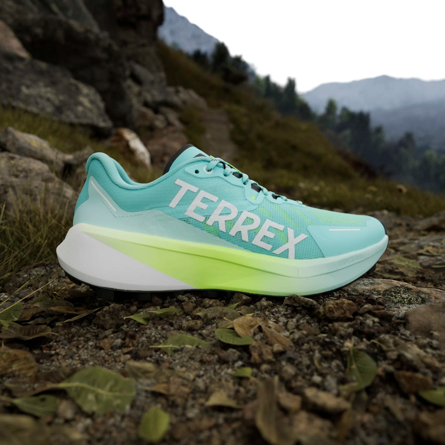 Adidas - Terrex Agravic 3 - Flash Aqua / Cloud White / Lucid Lemon - Chaussures trail running hommes