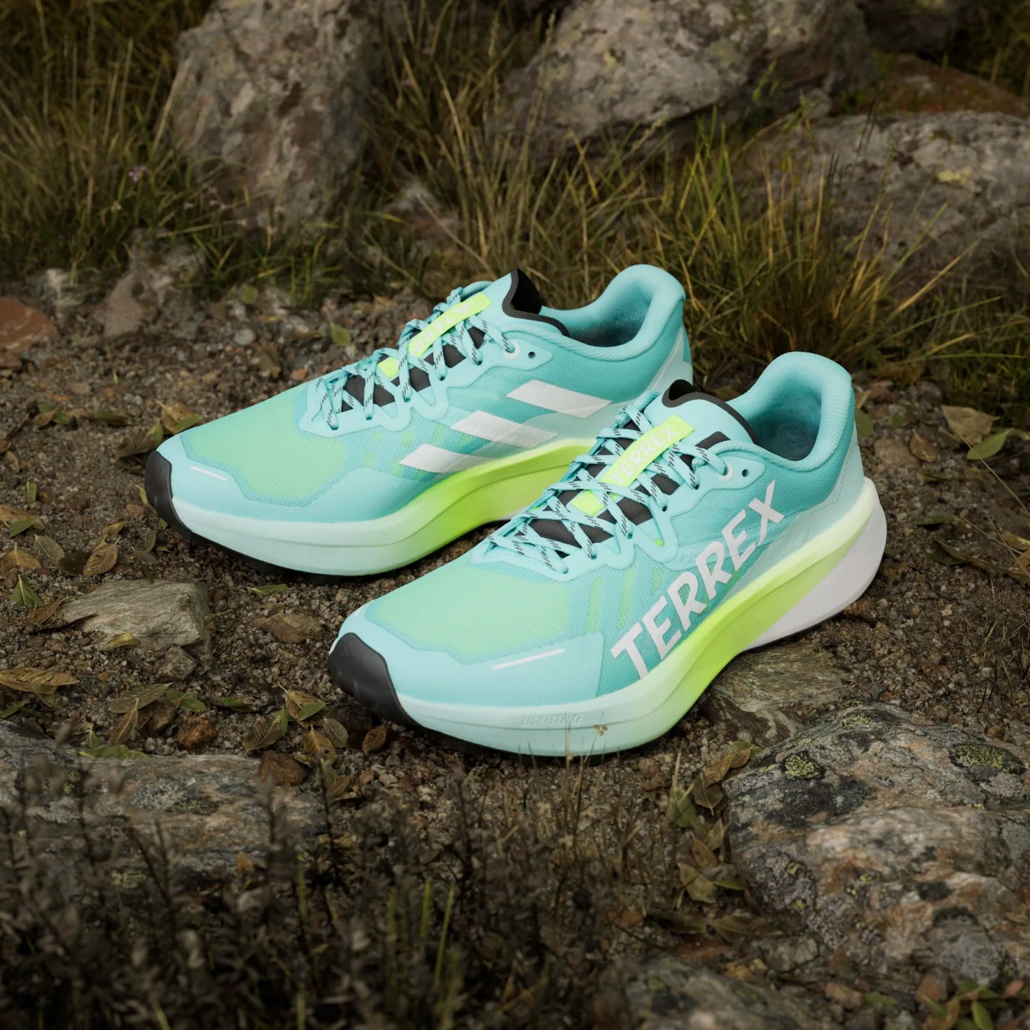 Adidas - Terrex Agravic 3 - Flash Aqua / Cloud White / Lucid Lemon - Chaussures trail running hommes