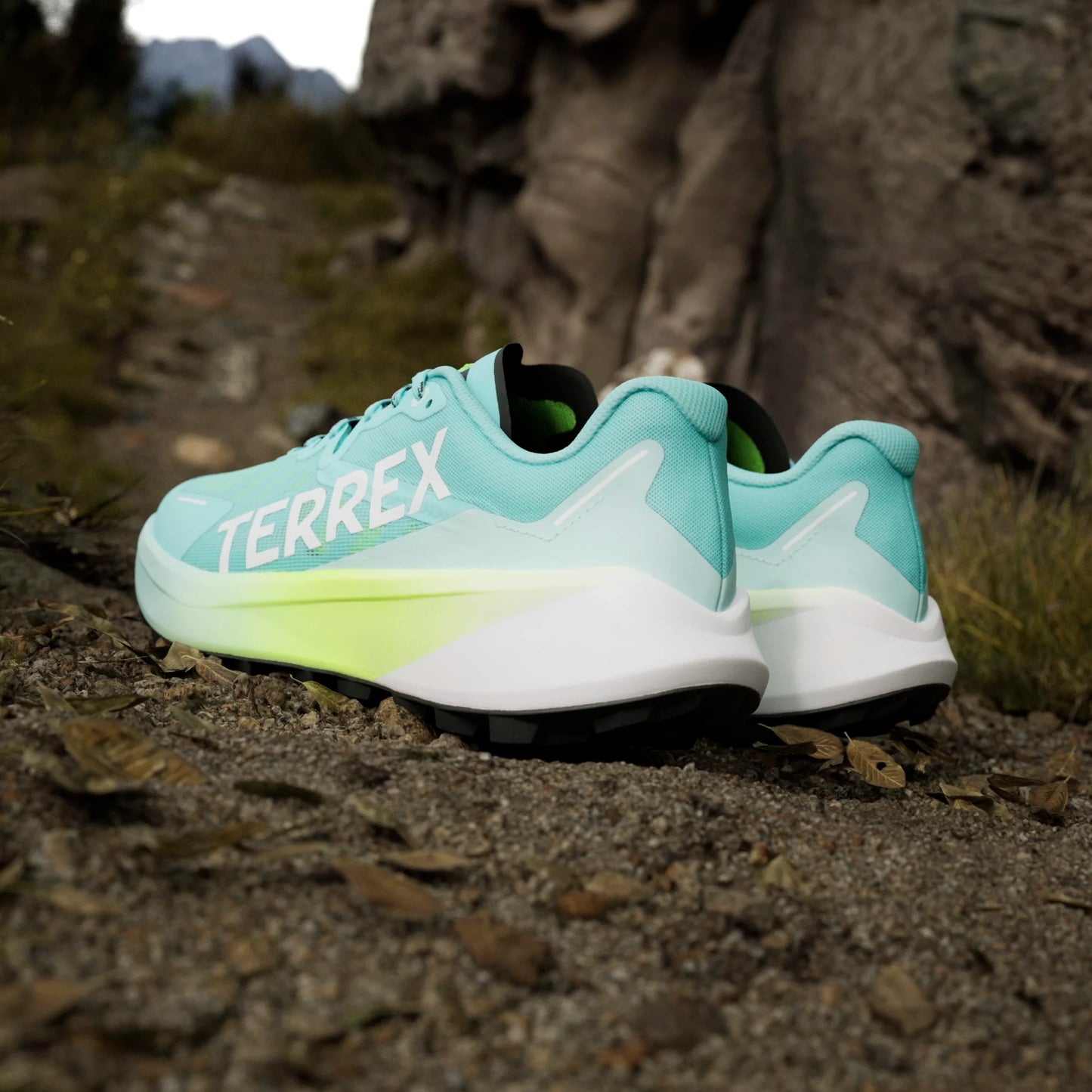 Adidas - Terrex Agravic 3 - Flash Aqua / Cloud White / Lucid Lemon - Chaussures trail running hommes