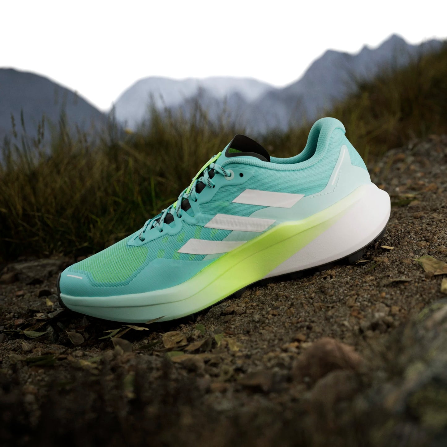 Adidas - Terrex Agravic 3 - Flash Aqua / Cloud White / Lucid Lemon - Chaussures trail running hommes