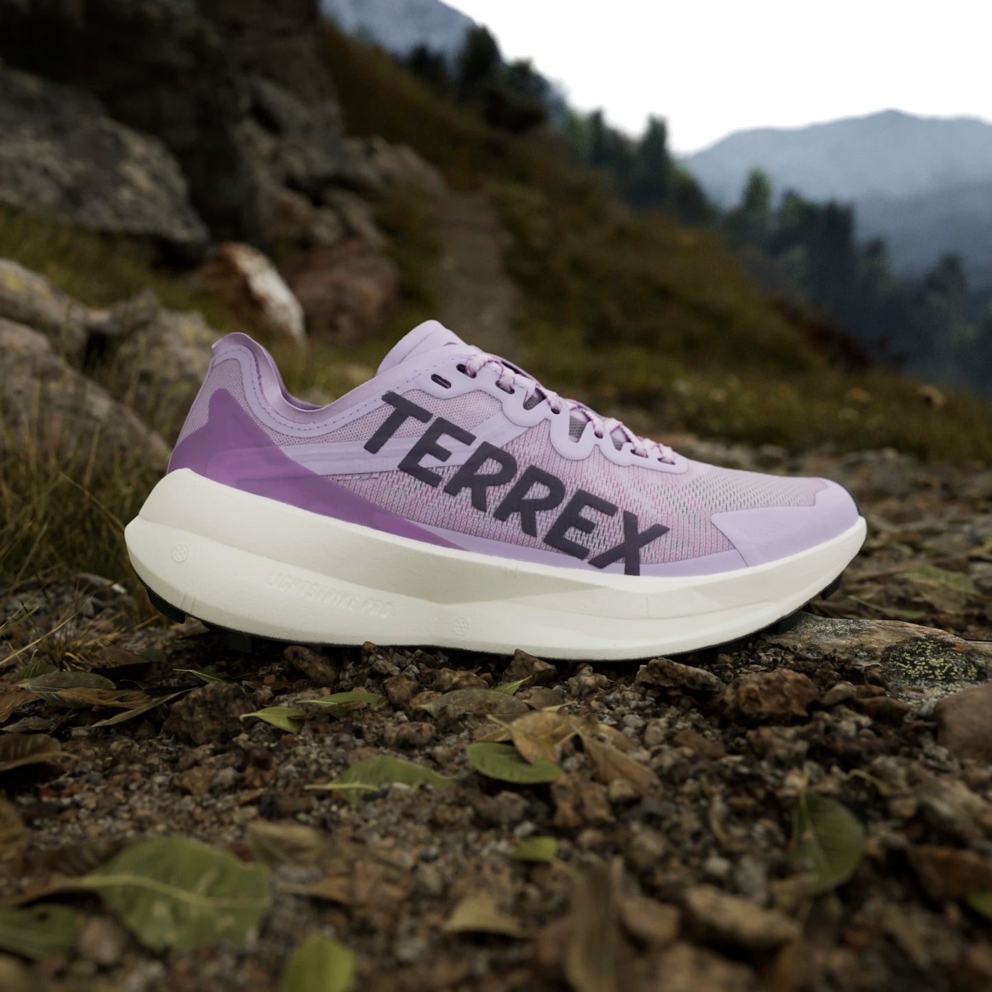 Adidas - Terrex Agravic Speed - powder plum - Chaussures trail running femmes