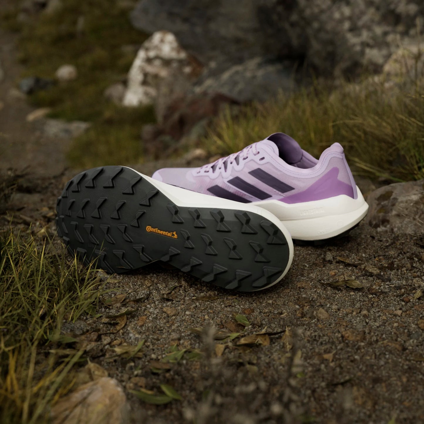Adidas - Terrex Agravic Speed - powder plum - Chaussures trail running femmes