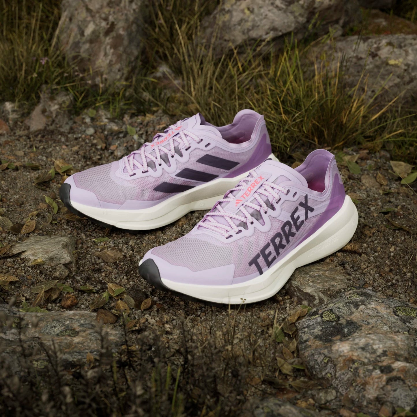 Adidas - Terrex Agravic Speed - powder plum - Chaussures trail running femmes