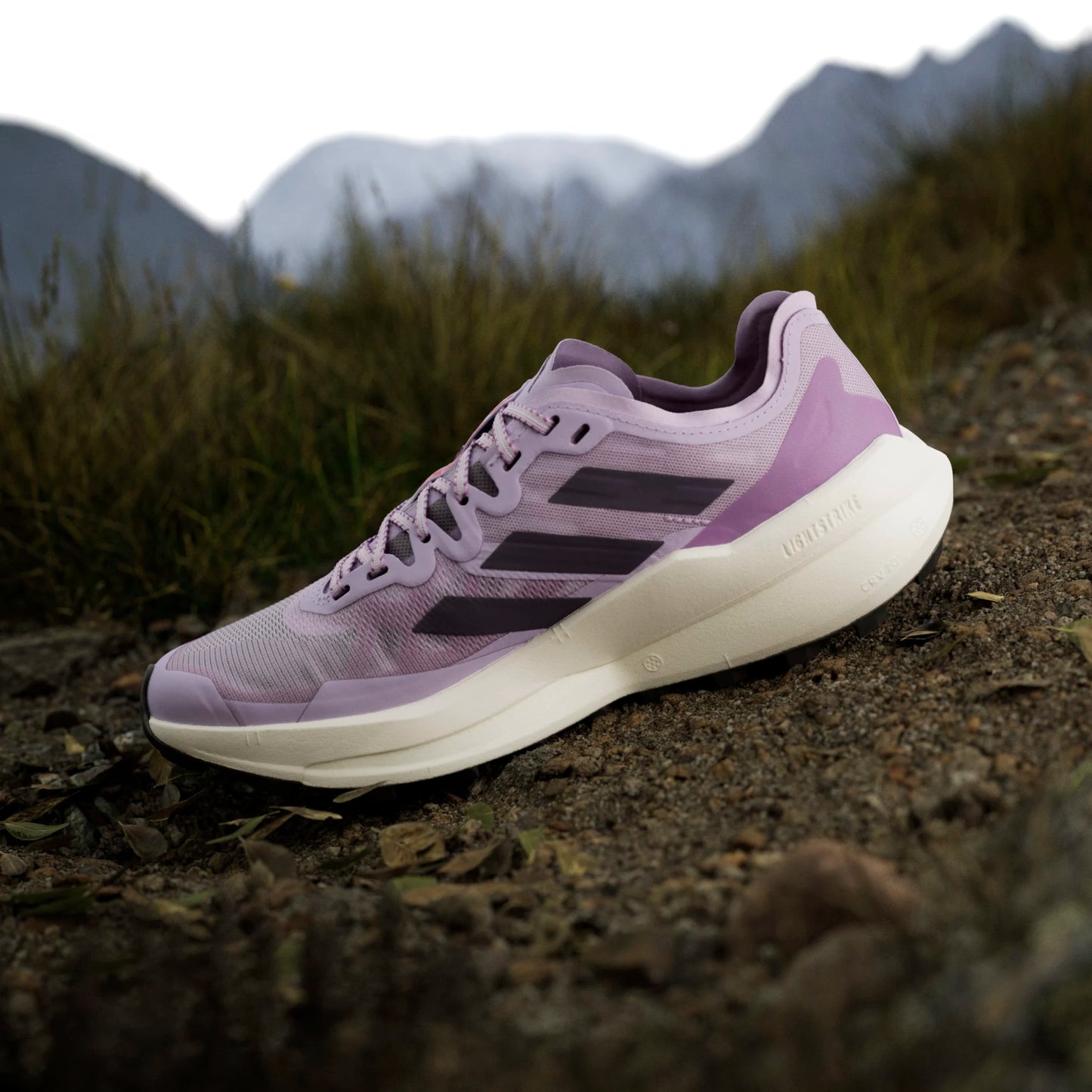 Adidas - Terrex Agravic Speed - powder plum - Chaussures trail running femmes