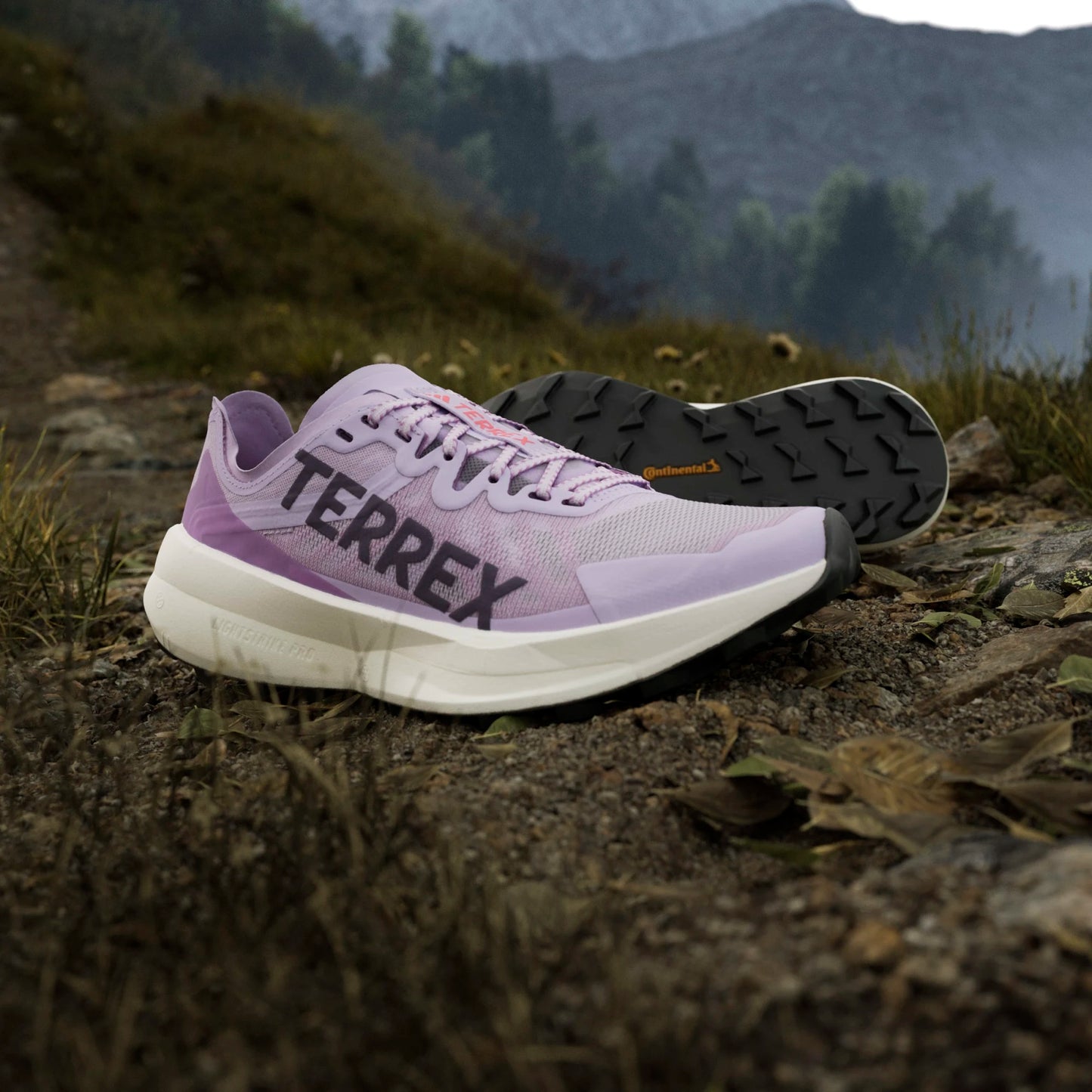 Adidas - Terrex Agravic Speed - powder plum - Chaussures trail running femmes