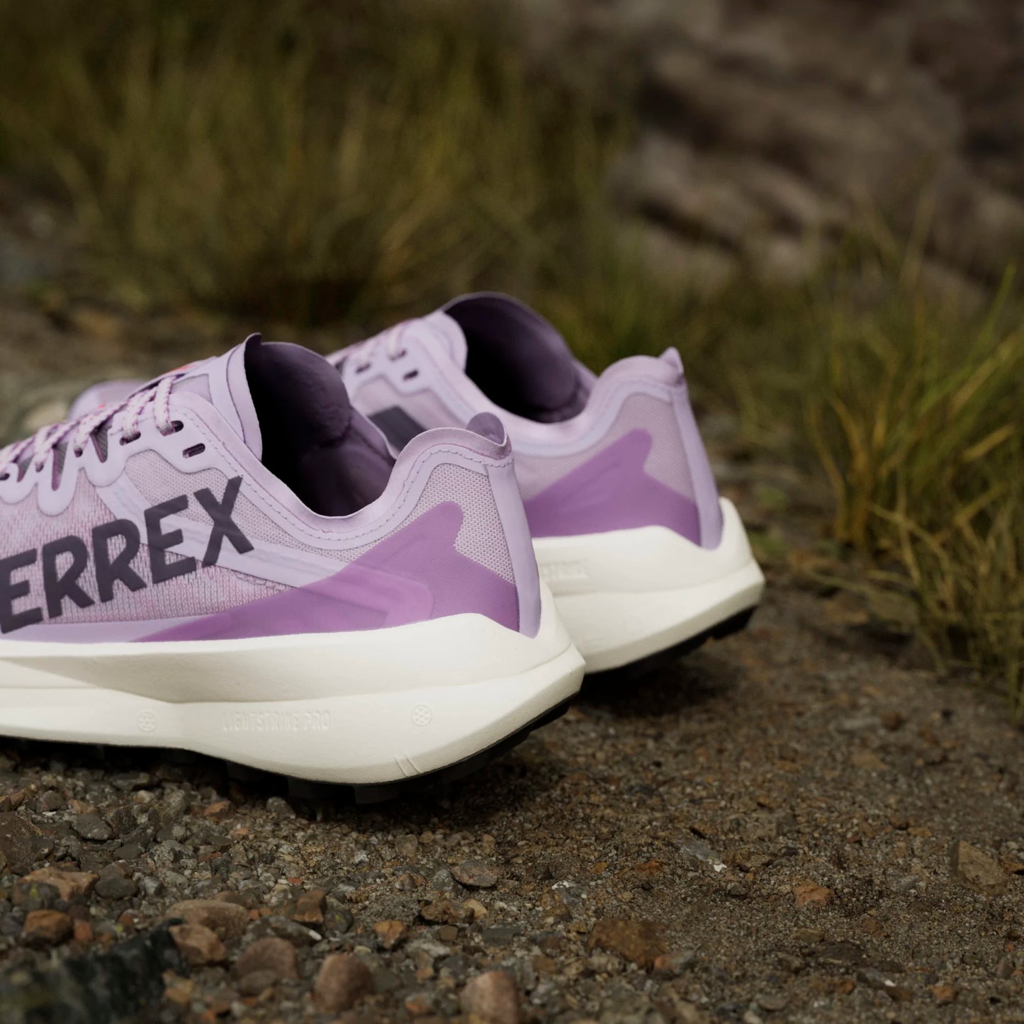 Adidas - Terrex Agravic Speed - powder plum - Chaussures trail running femmes