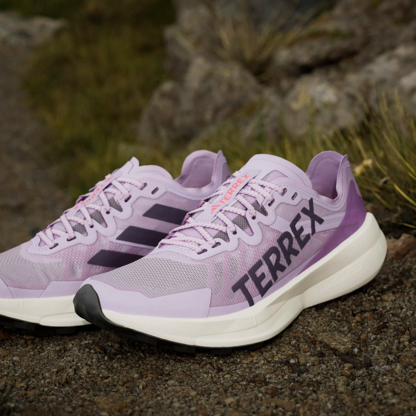 Adidas - Terrex Agravic Speed - powder plum - Chaussures trail running femmes