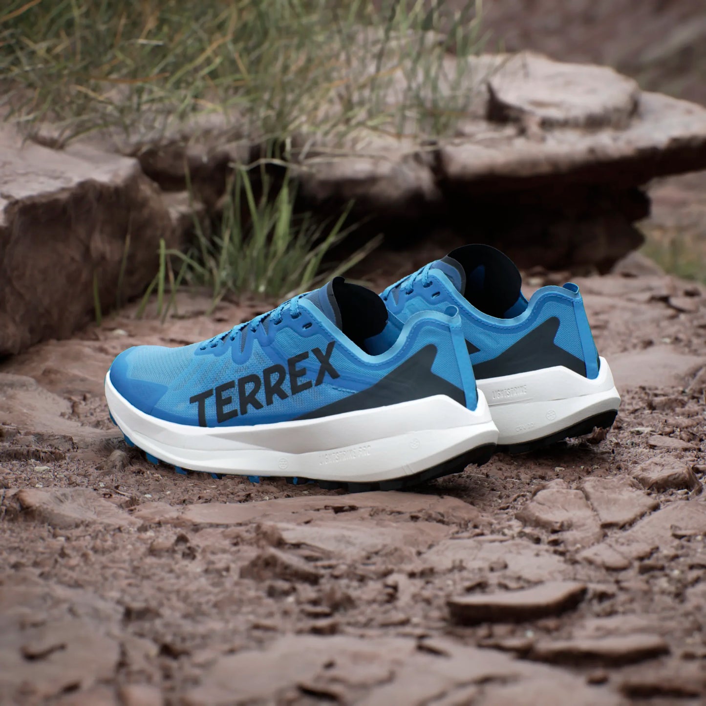 Adidas - Terrex Agravic Speed Mens - BLEIMP / NOIESS / SEORIM - Chaussures trail running hommes