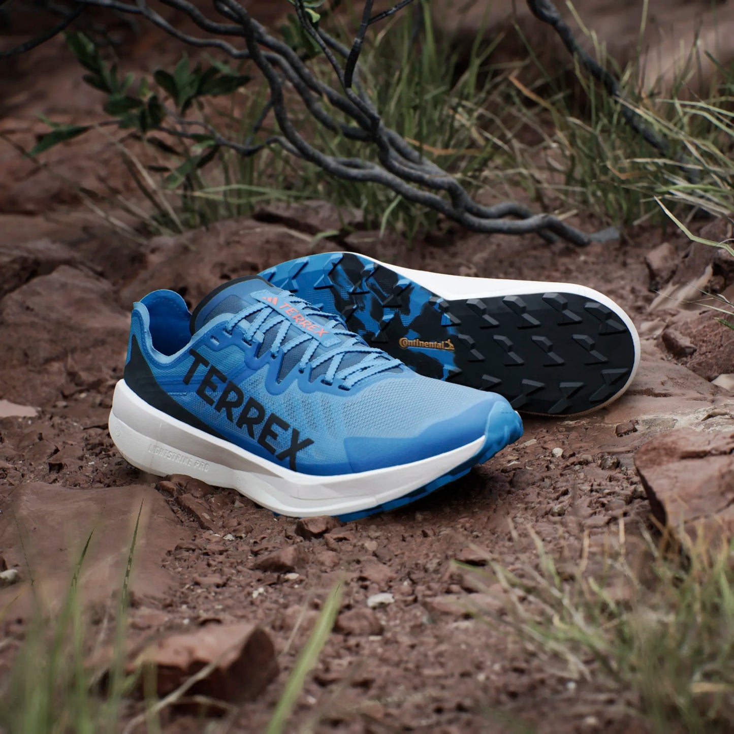 Adidas - Terrex Agravic Speed Mens - BLEIMP / NOIESS / SEORIM - Chaussures trail running hommes