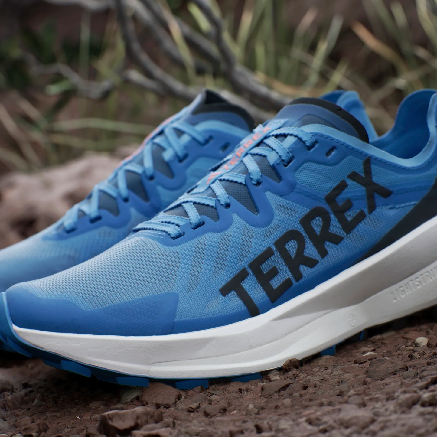 Adidas - Terrex Agravic Speed Mens - BLEIMP / NOIESS / SEORIM - Chaussures trail running hommes