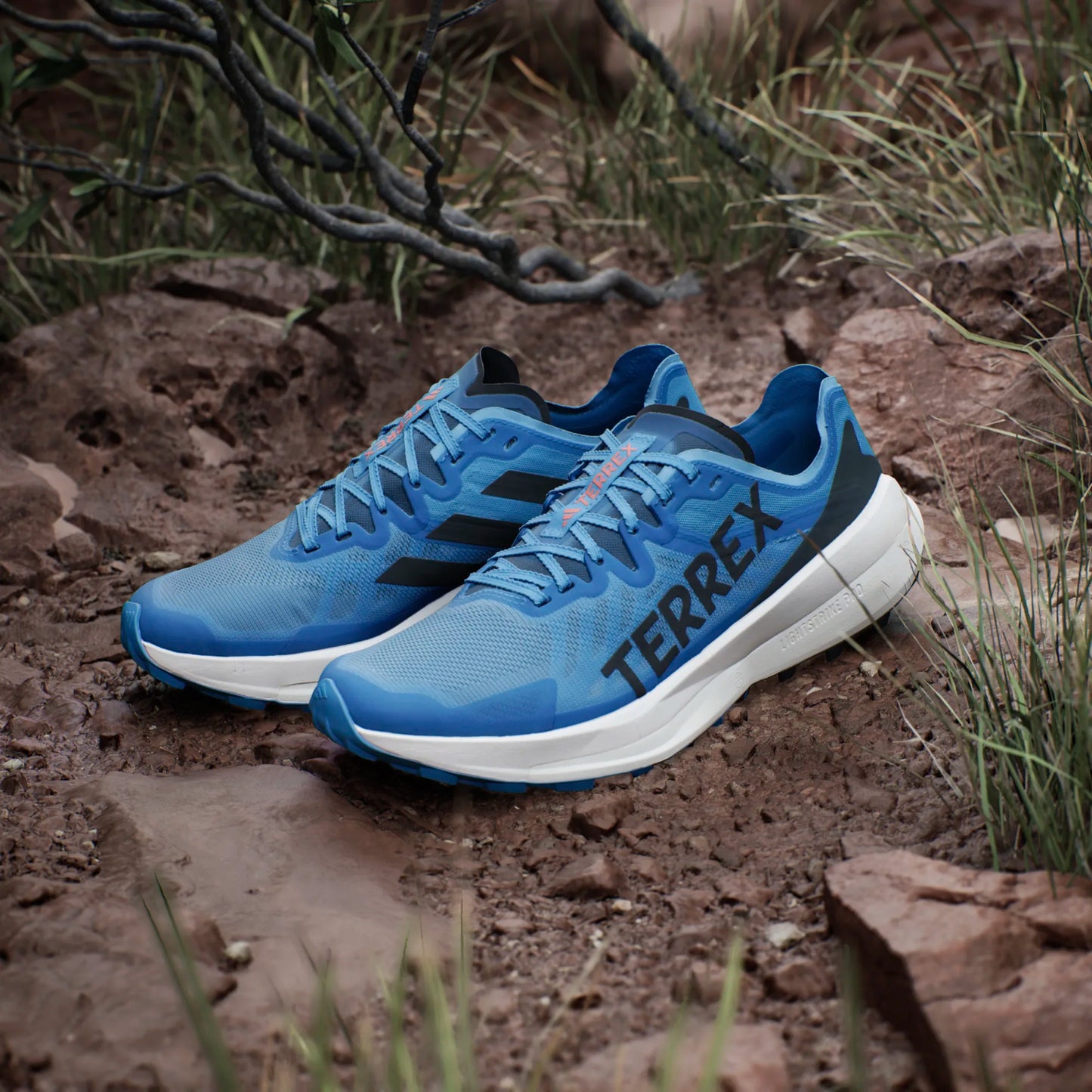 Adidas - Terrex Agravic Speed Mens - BLEIMP / NOIESS / SEORIM - Chaussures trail running hommes