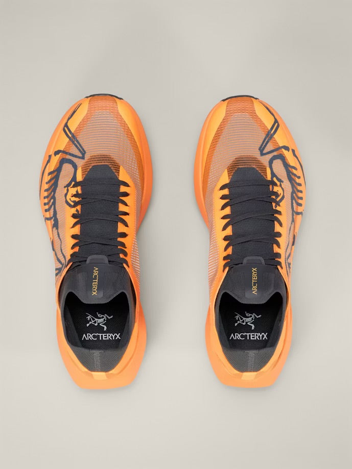 Arc’teryx - Sylan 2 - carotene / carotene - Chaussures Trail running hommes