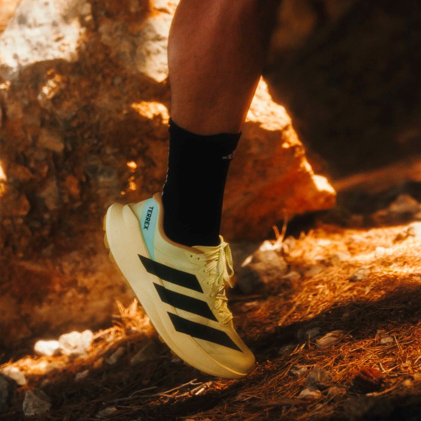 Adidas - Terrex Agravic SL - frozen lemon / core black / pulse mint- Chaussures Trail running hommes