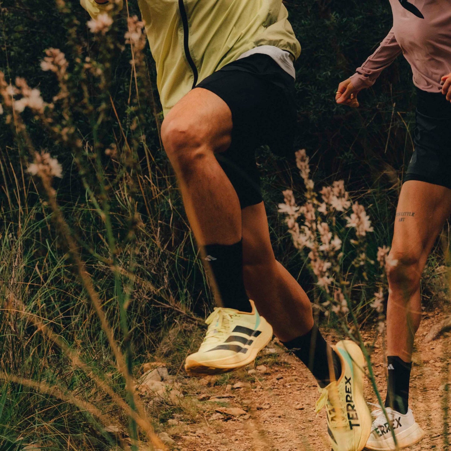 Adidas - Terrex Agravic SL - frozen lemon / core black / pulse mint- Chaussures Trail running hommes