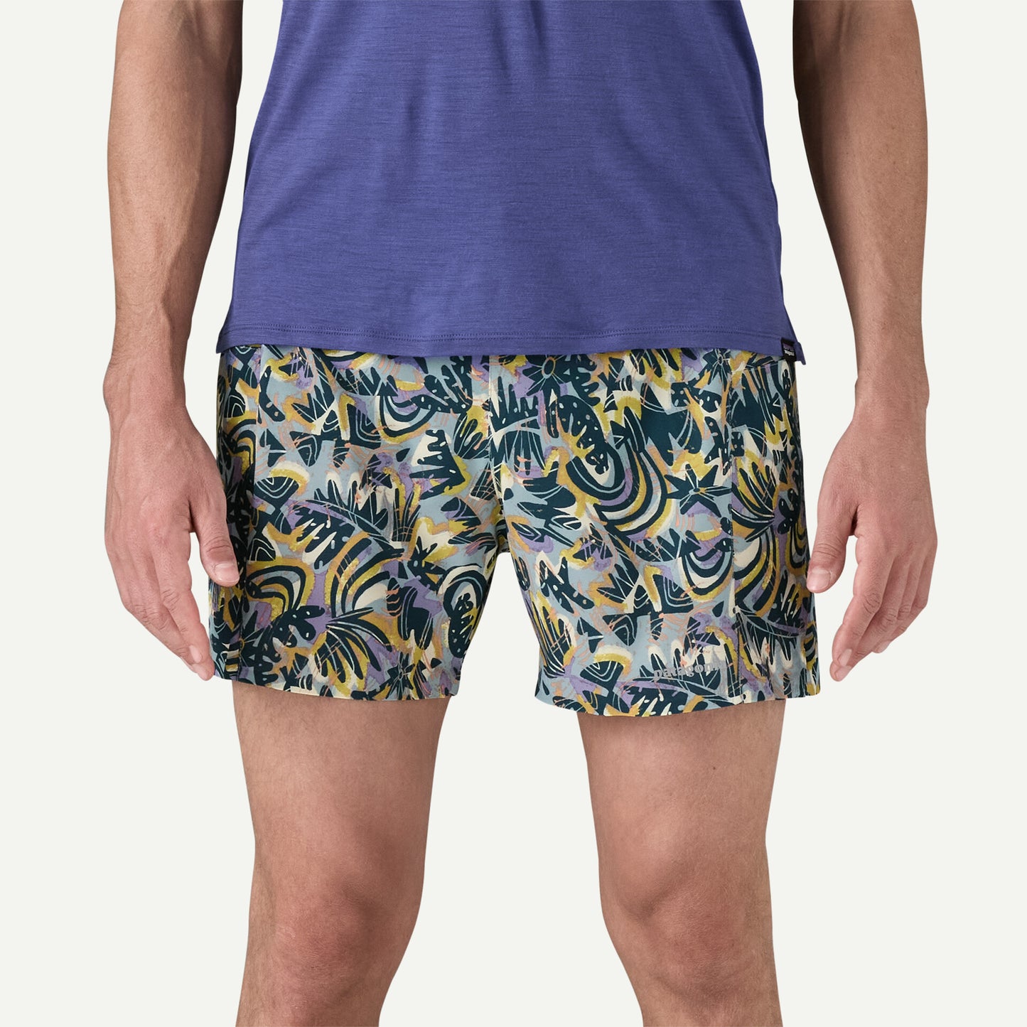 Patagonia - Strider Pro Shorts - 5" - wild Botanist / Thermal Blue  - Short running hommes
