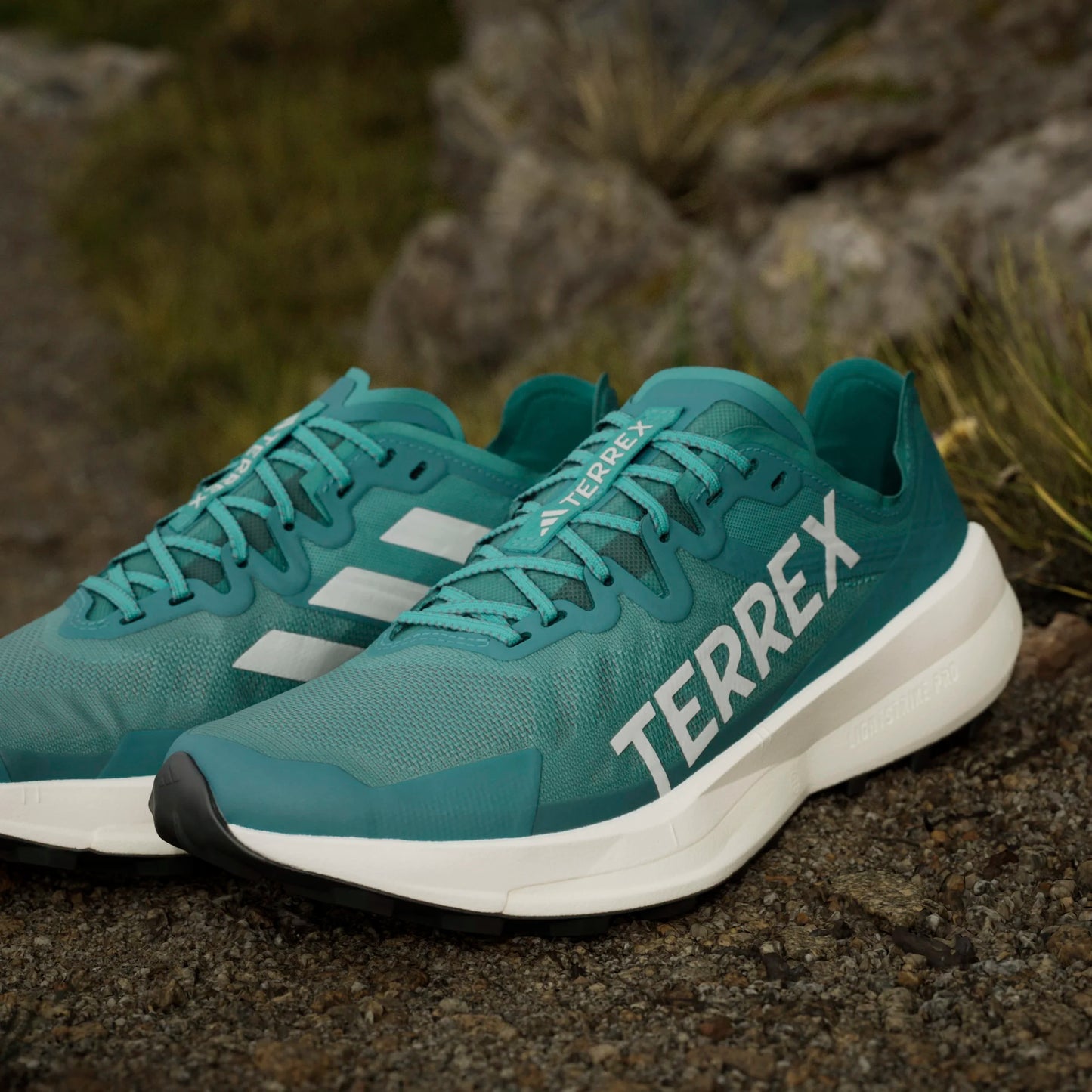 Adidas - Terrex Agravic Speed - Pure Teal / Grey One / Core Black - Chaussures trail running hommes