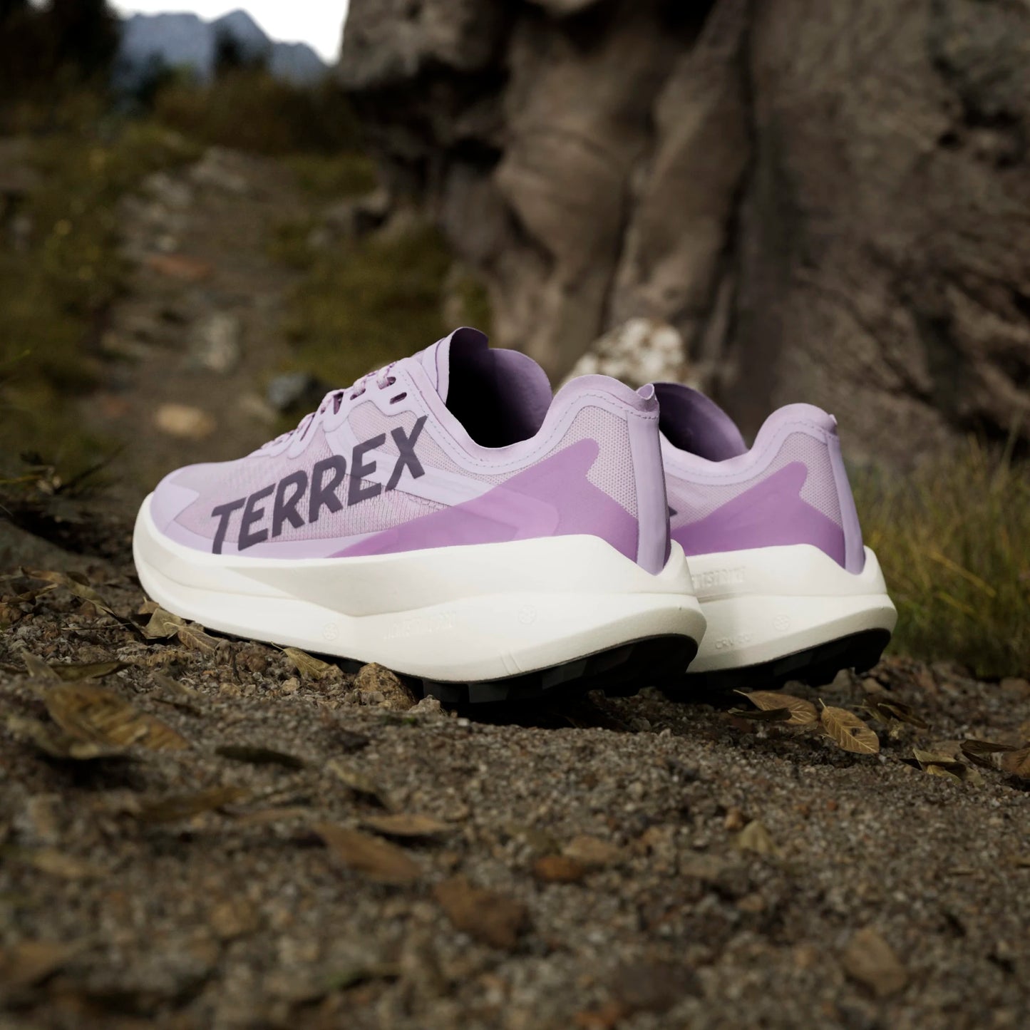 Adidas - Terrex Agravic Speed - powder plum - Chaussures trail running femmes