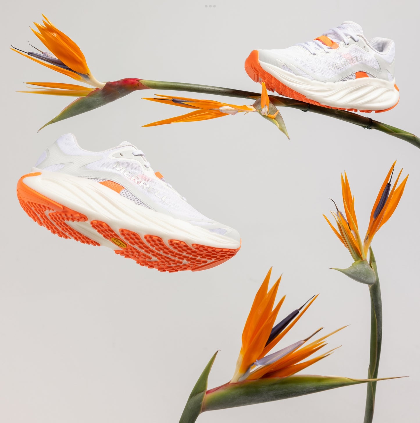 Merrell - ProMorph - white / flare - chaussures running femmes