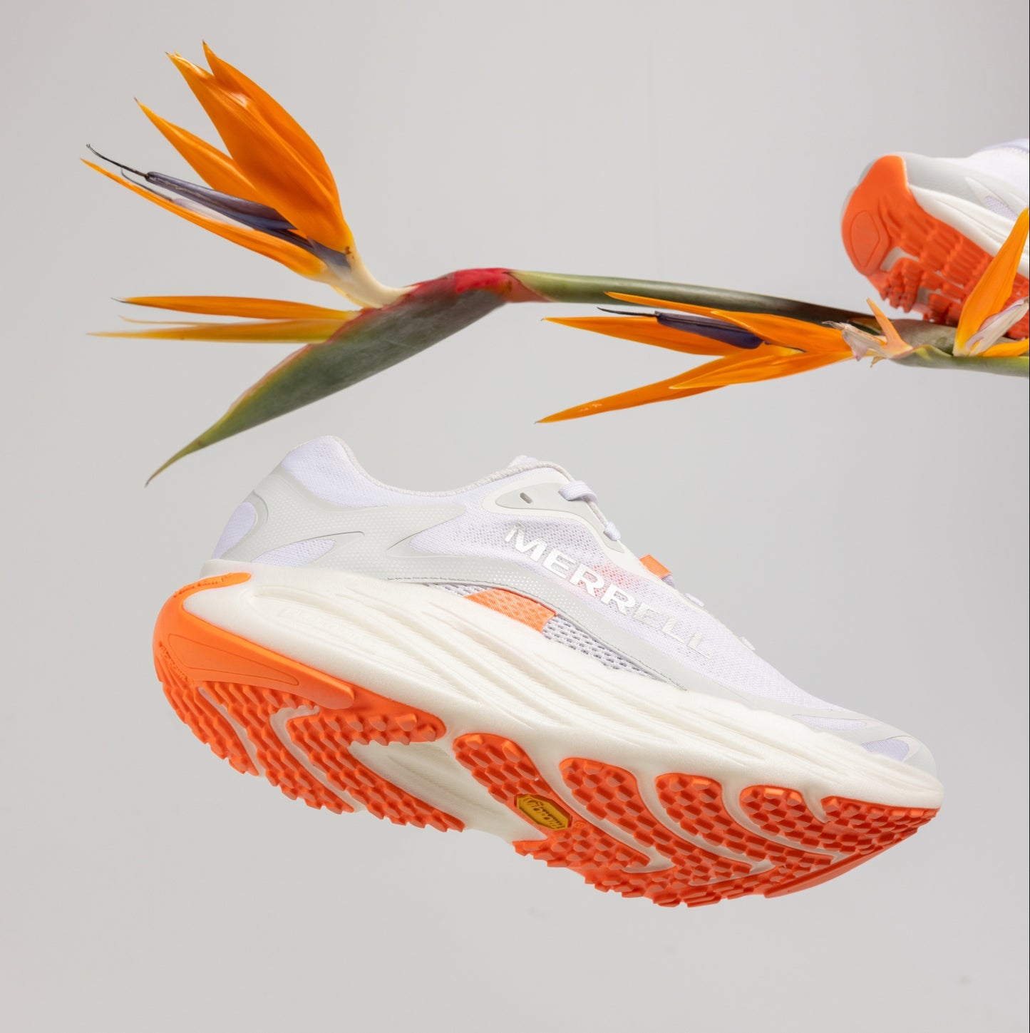 Merrell - ProMorph - white / flare - chaussures running femmes