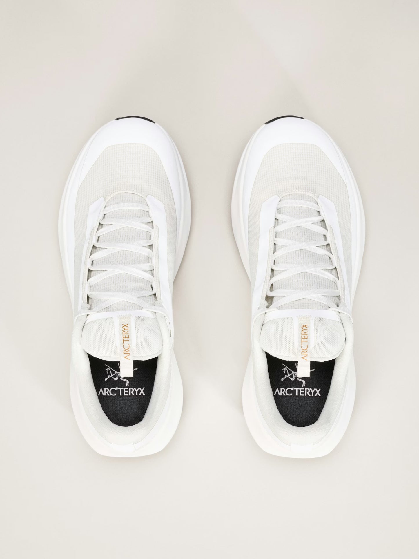 Arc’teryx - Norvan LD 4 GTX - arctic silk / arctic silk - Chaussures Trail running hommes