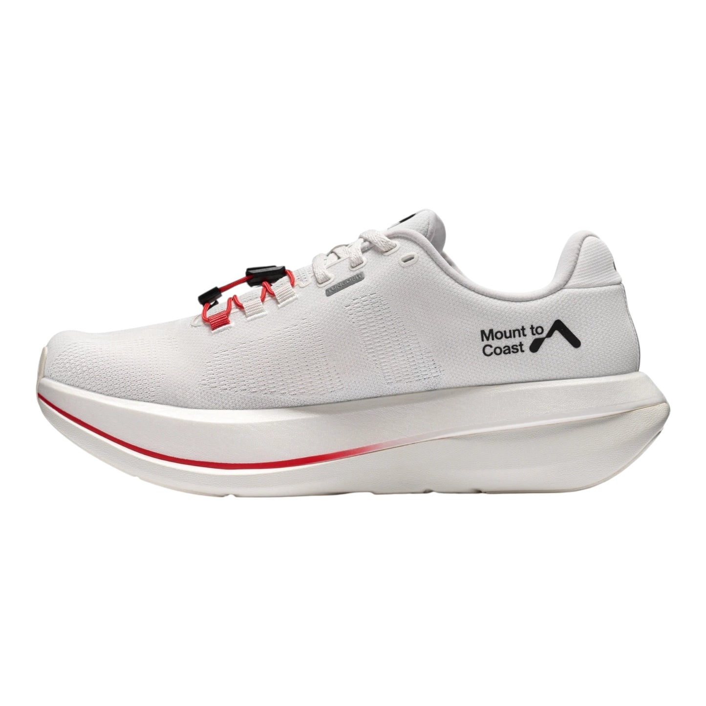 Mount To Coast - C1 - pulse - Chaussures Running Hommes